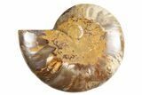 Cut & Polished Ammonite Fossil (Half) - Madagascar #345976-1